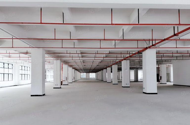 谢岗镇新出带红本标准厂房十万平方厂房出租带牛角一楼7米可分租