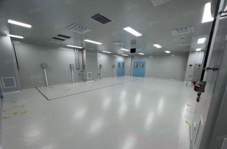 常平新出原房东独门独院8000平方精装修红本厂房可分租