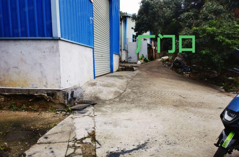 常平黄泥塘山边钢构无柱子300平方现成装修有水有电