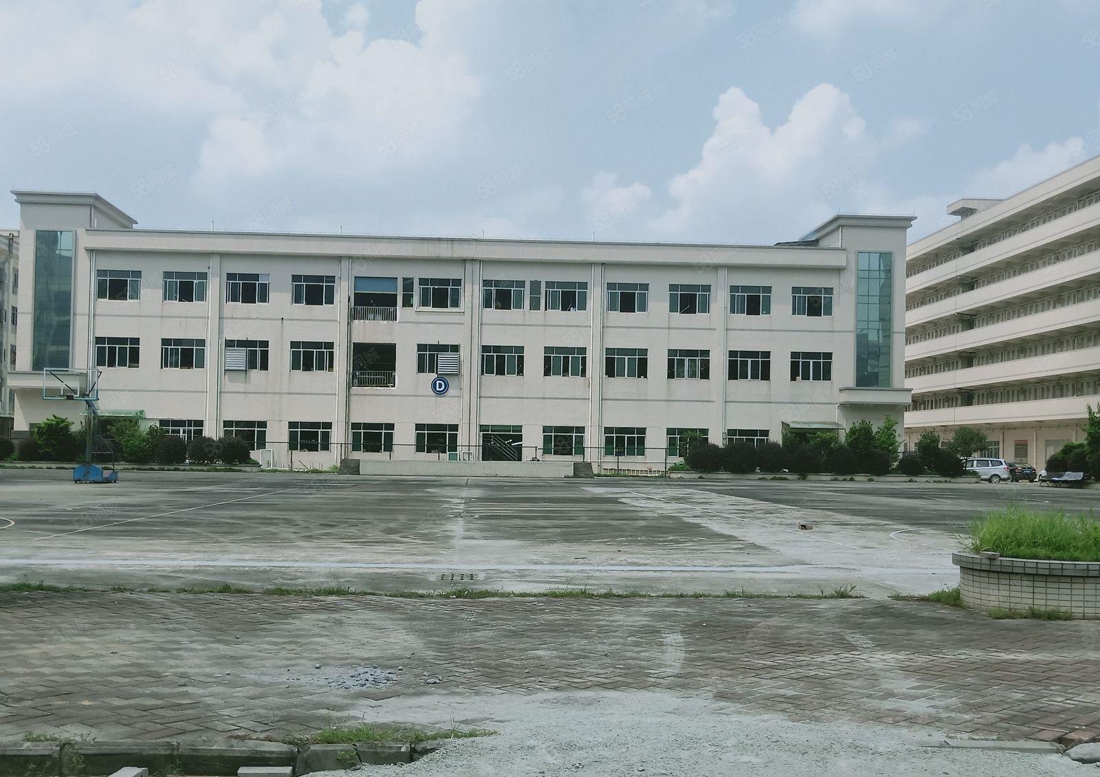 12元起常平中元工业园区新出带装修5000平厂房出租，可分租