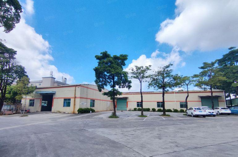 常平原房东单一层独院厂房2000平低价出租，空地超大交通便利