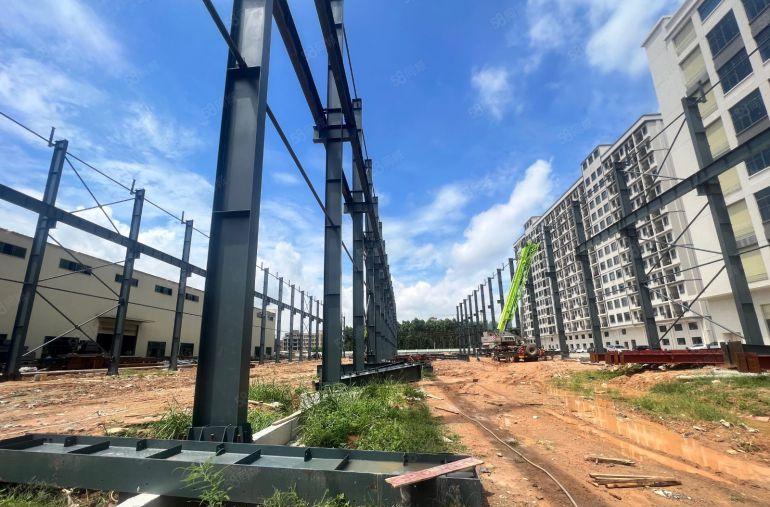 常平红本厂房 18米高新建钢构 长度300米 有行轨厂房出租