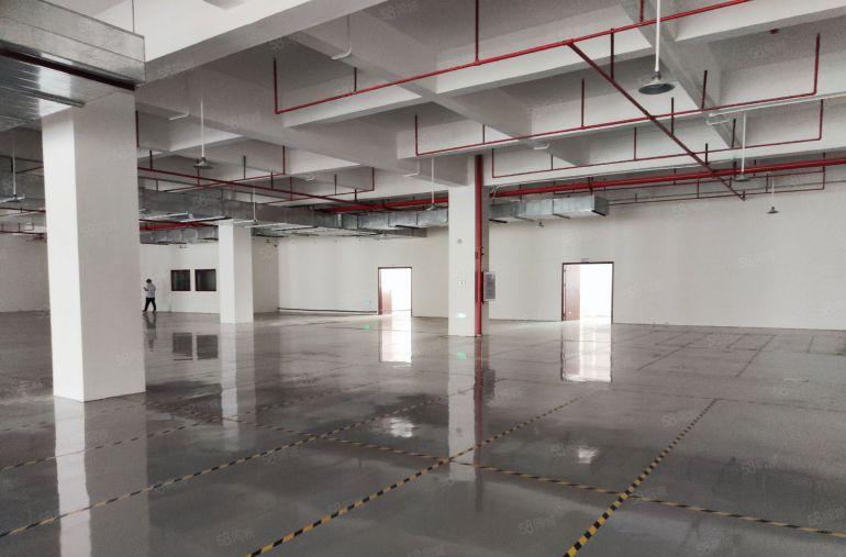 常平原房东楼上水电齐全全新环氧地坪漆实际面积出租有卸货平台