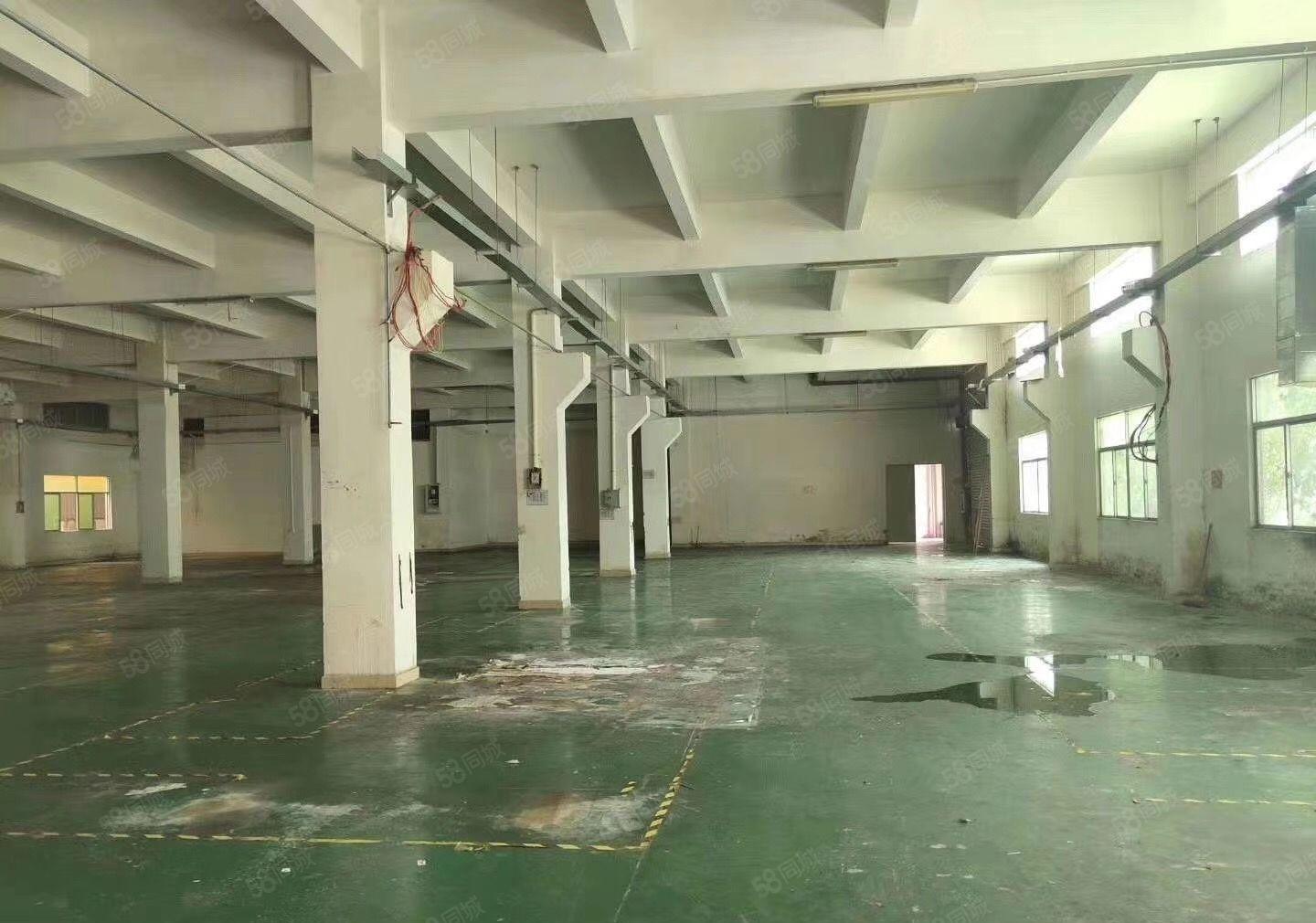 常平袁山贝新出三层原房东厂房5100平方，带环评，空地大