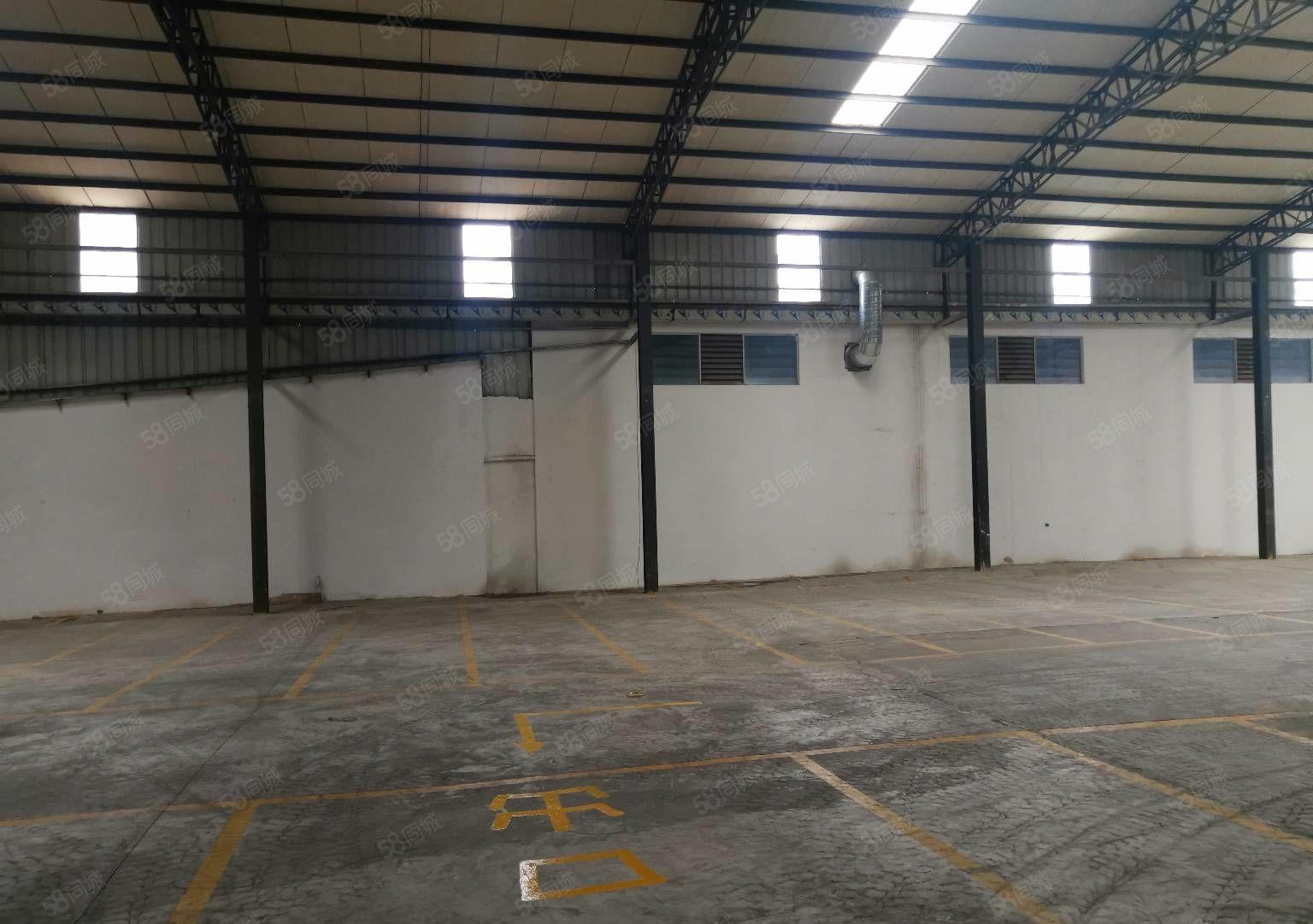 常平镇新出滴水8米钢构厂房，内空无柱，厂房方正，300平起租
