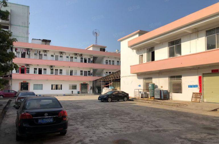 常平一手房东 独门独院带宿舍有红本厂房出租  空地大，可环评