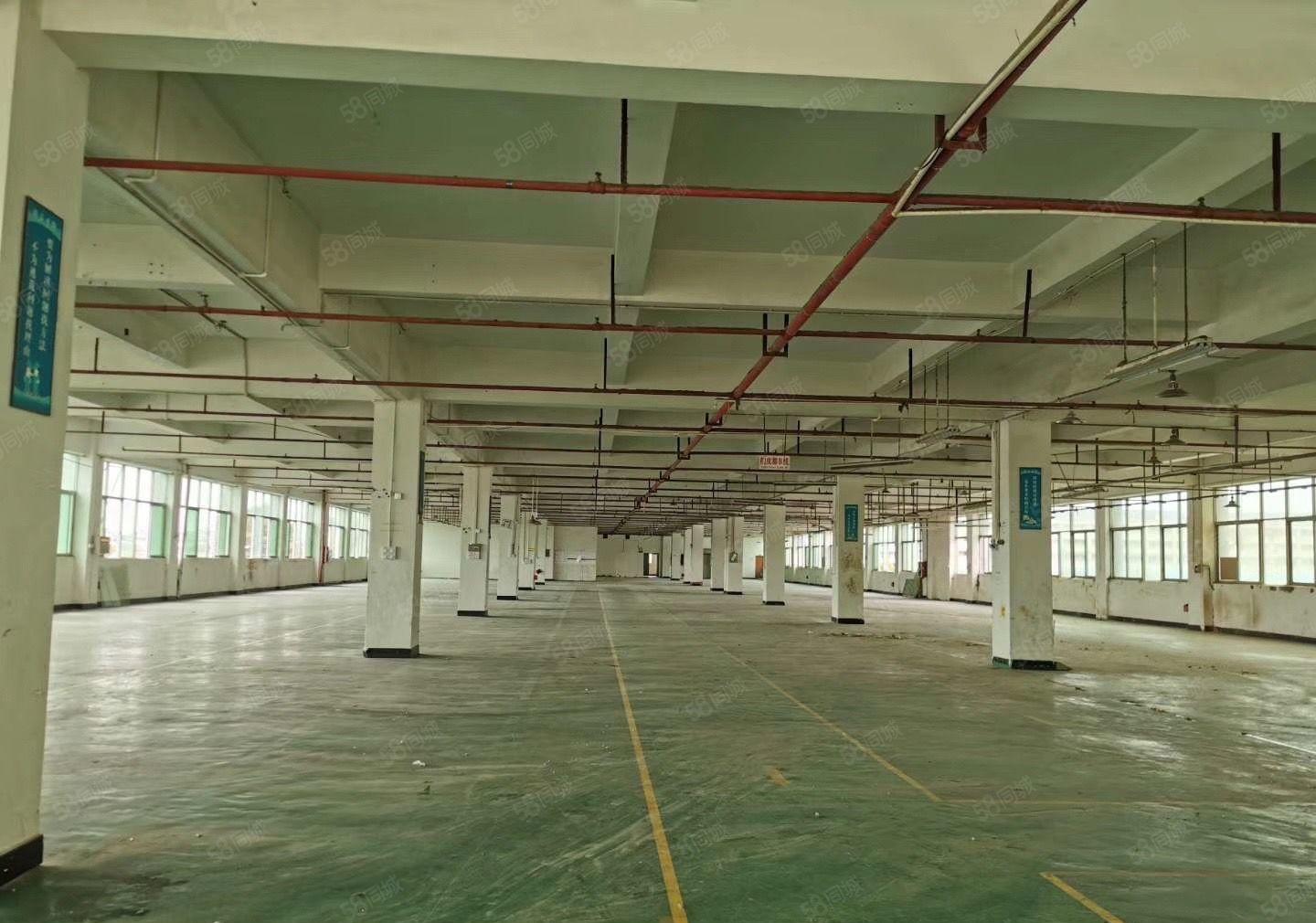 常平园区分租单层面积4500平可分租形象好空地大