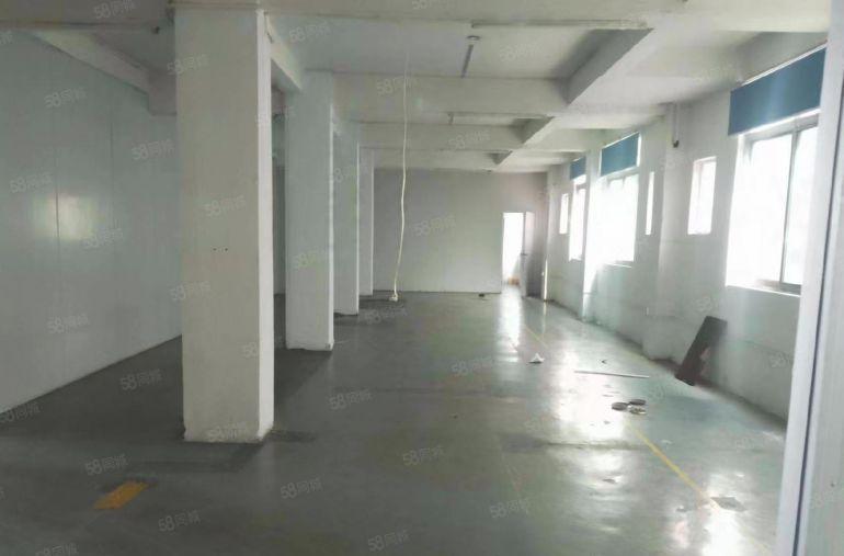 常平原房东500平精装修厂房出租