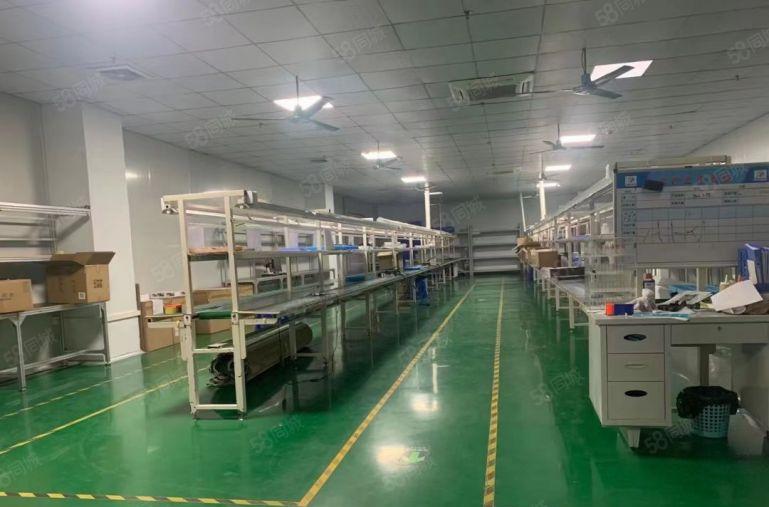 常平10元厂房零押金，无公摊面积精装修水电到位拎包入驻