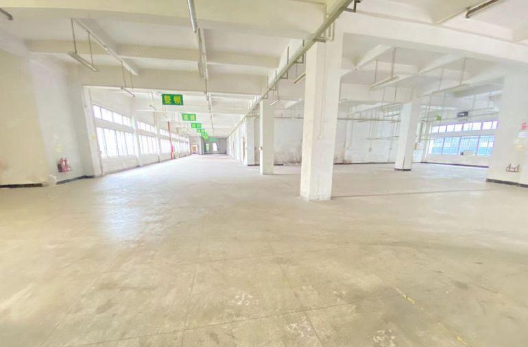 独院标准厂房出租原房东红本厂房适合电子手袋制衣五金注塑模具等