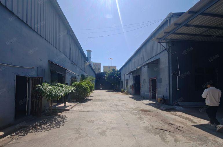 常平新出原房东独门独院2500平方单一层