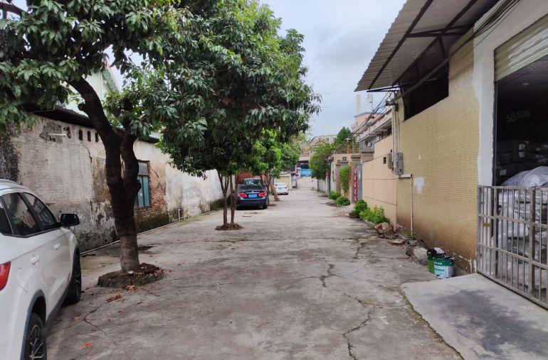 常平10块钱一手原房东独院厂房价格便宜面积实在位置好招工