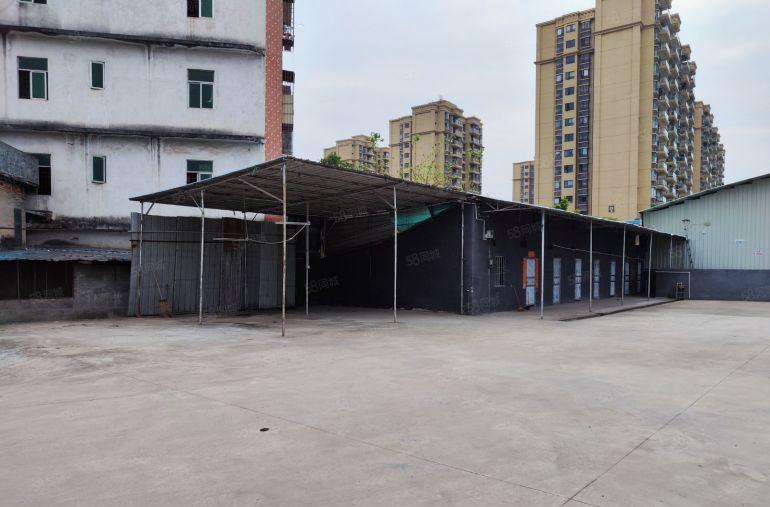 常平松柏塘新出钢结构独门独院有办公室宿舍超大空地可进大车