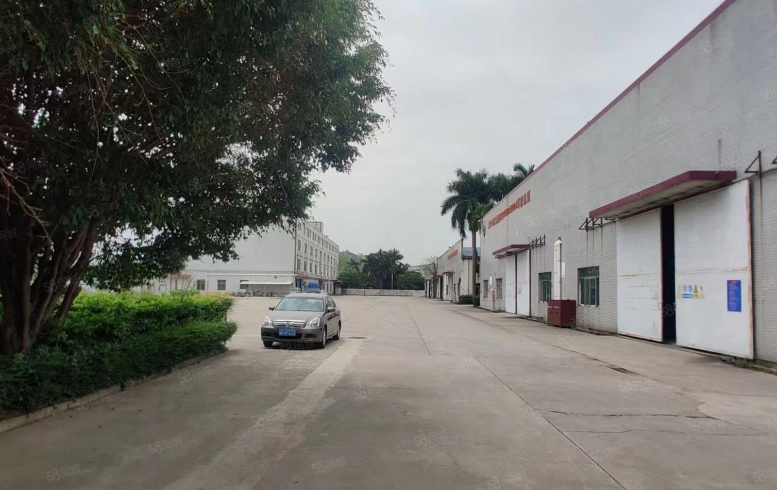 常平成熟工业区新出单一层砖墙到顶厂房1300平方 空地超大