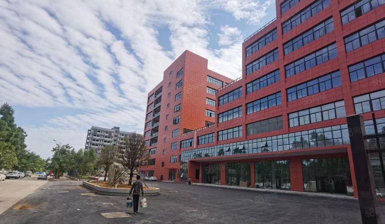 一楼9米高，常平新出原房东60000平厂房仓库出租，大小分租