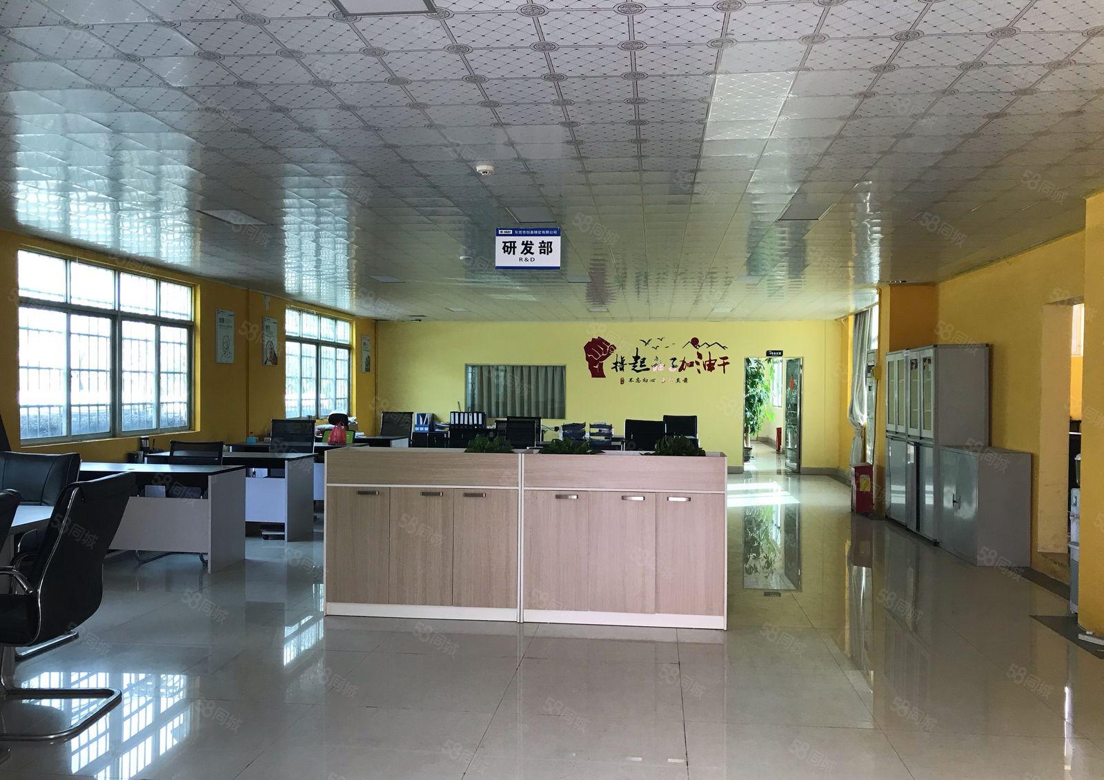 桥沥花园式靓厂房带豪华装修可分租