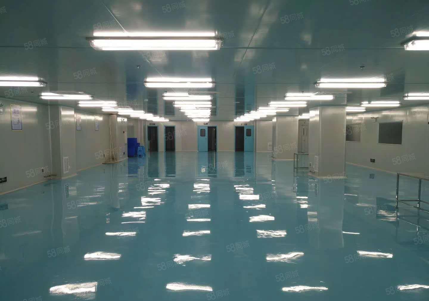 （厂房急租）常平全新无尘车间5000平带全新装修有消防喷淋