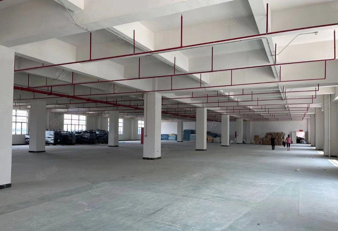 常平镇司马原房东厂房标准一楼加三楼空地超大形象好工业用地