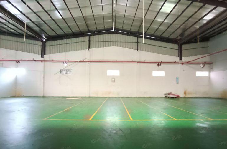 常平独栋8米钢构3000平特价出租适合仓库生产，手慢无