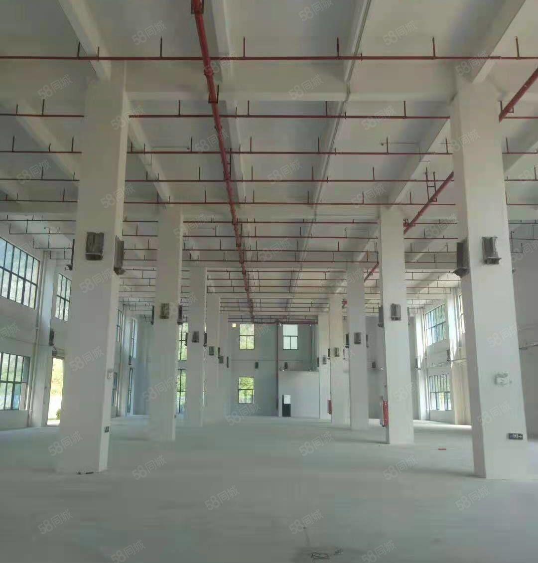 常平天鹅湖一楼2200平6米高厂房招租。水电到位带装修