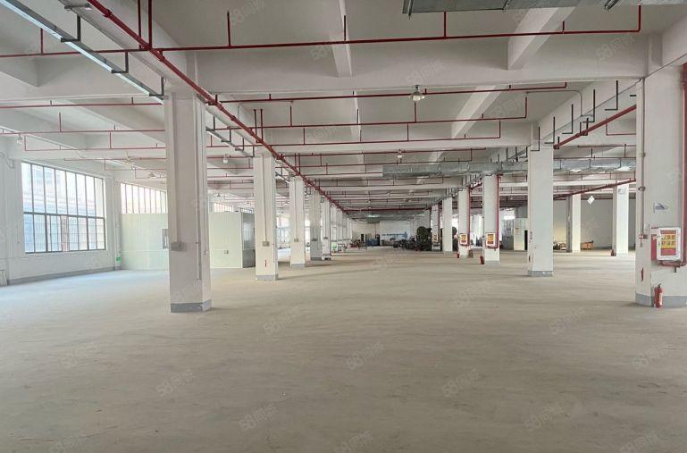 常平新出原房东。可分租带装修地坪漆。带三个三吨电梯带卸货平台