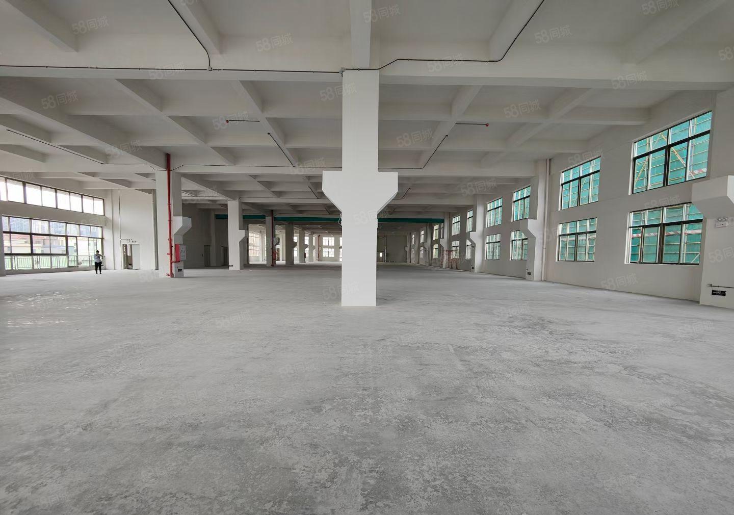 可分租！东莞常平镇 独门独院标准厂房出租，园区证件齐全空地大