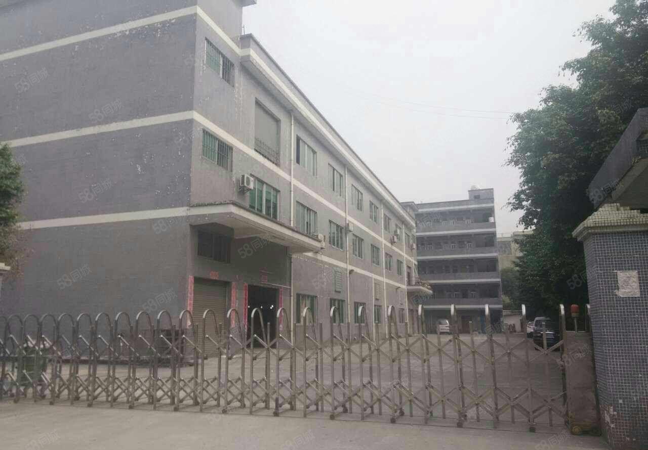 东莞常平新出独院厂房一楼600平方出租带牛角位