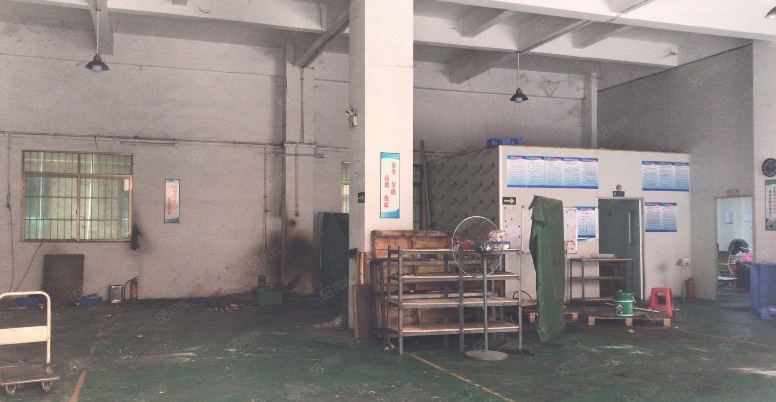 常平土塘新出一楼330平高6米厂房