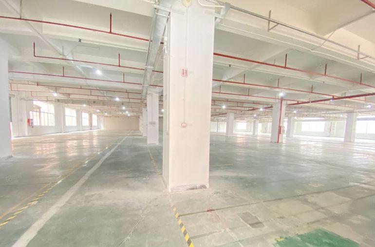 常平 原房东 全新标准一二楼  适合注塑五金模具钣金冲压压铸