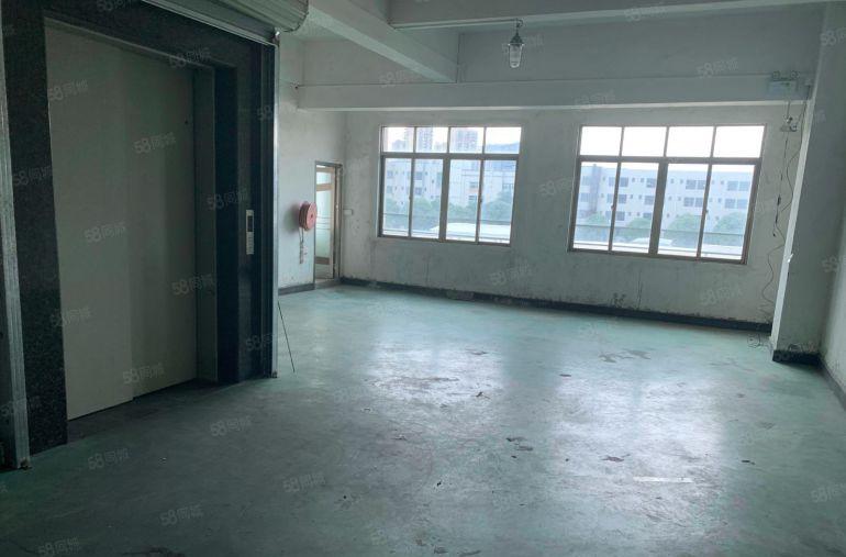 厚街桥头方便卸货电商仓库一层一户350平方带货梯