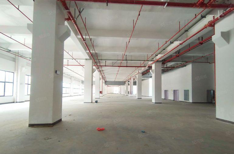 原房东9元无公摊东莞厚街大岭山4千平一楼仓库厂房出租大小分租