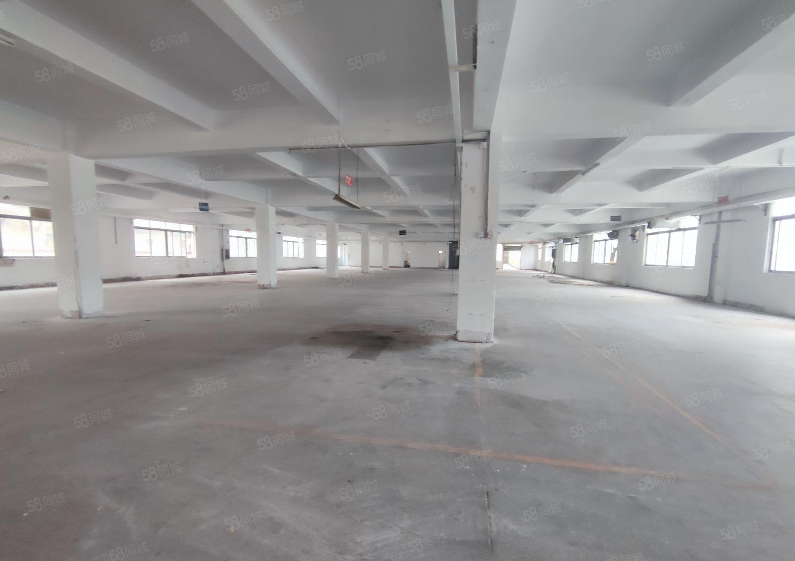 厚街镇高速出口附近原房东独门独院标准厂房出租4800平米