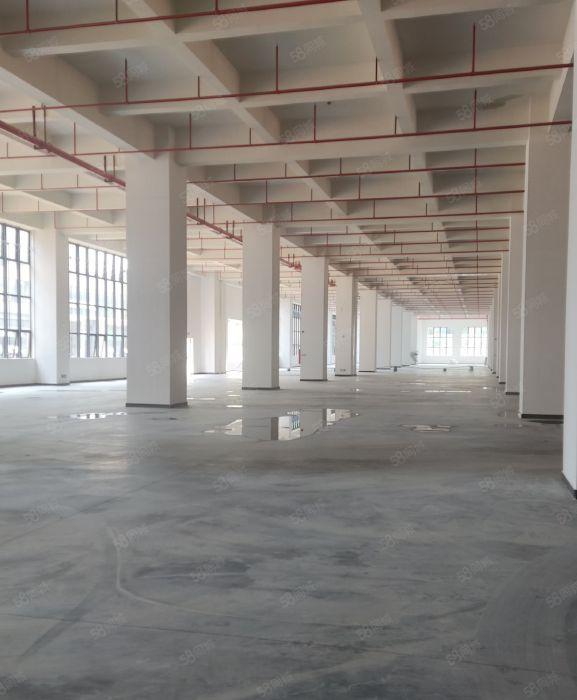 红本怡昌智慧谷湾区产业革新 智造赋能未来厂房正火热招商中