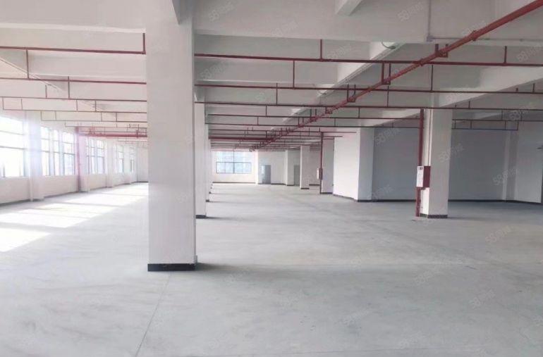 厚街小独院1000平8.8元每平出租，空地大，马路边！