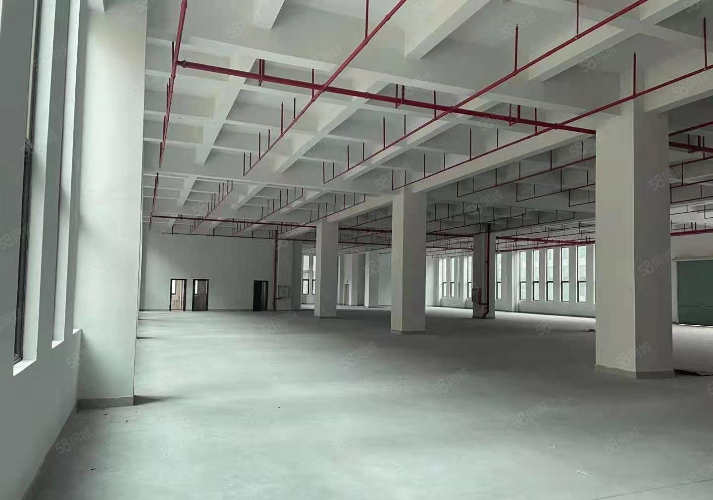 汀山全新厂房一楼2500平厂房出租， 园区厂房，带消防喷淋