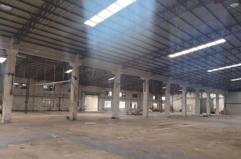 独门独院钢结构厂房5700平低价出租滴水9米形象好交通方便