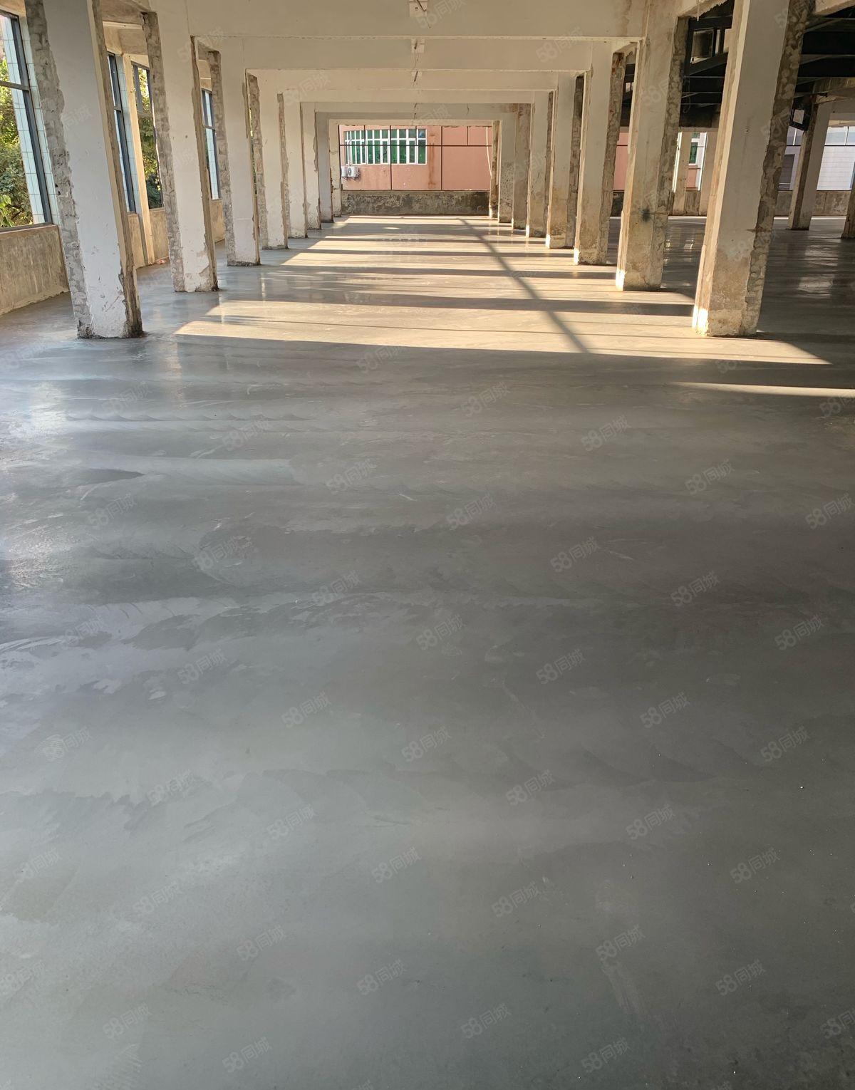 厚街大道3000方厂房低价出租