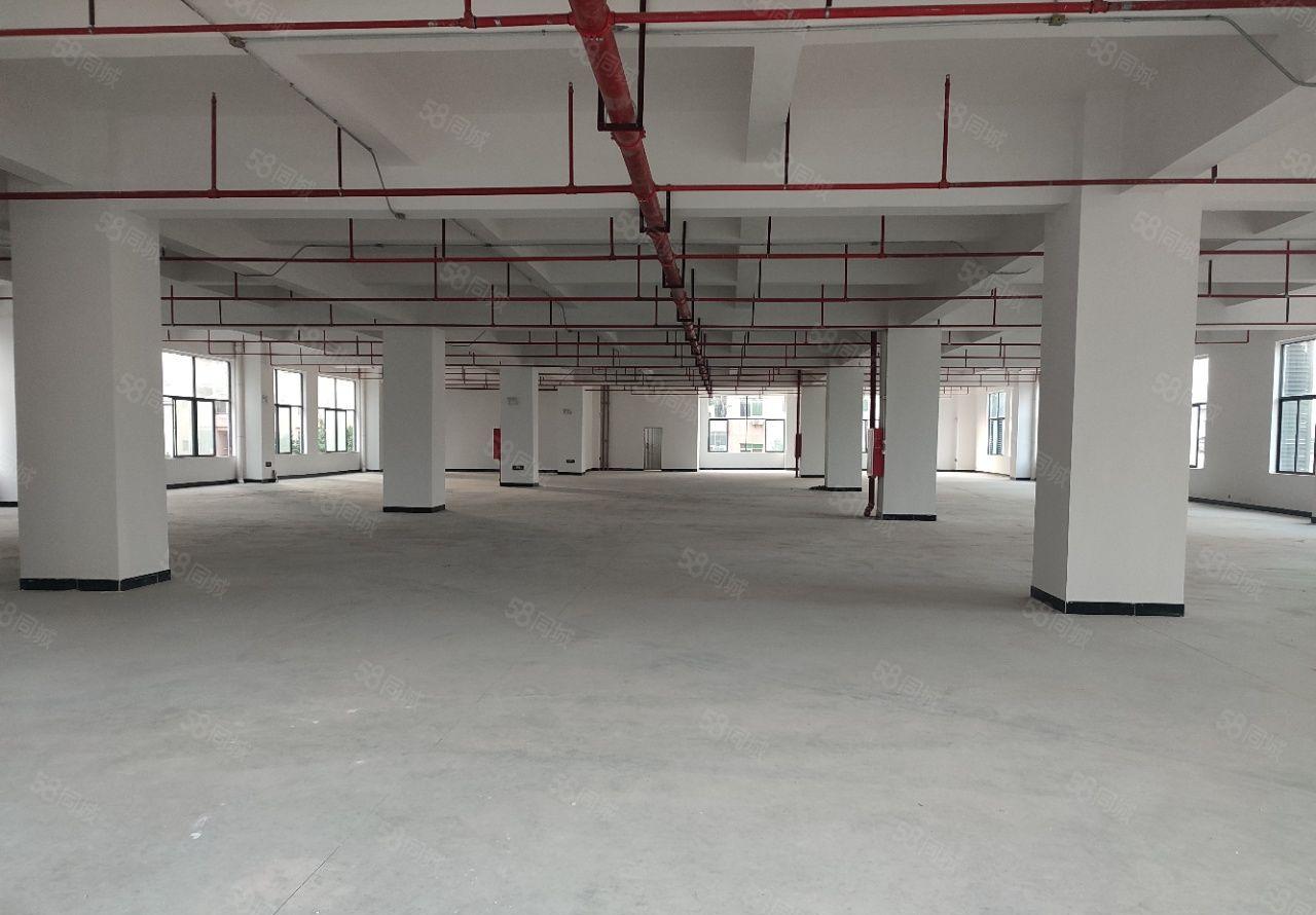 厚街新出全新重工业产业园15000平方一楼高7.5米按栋出租