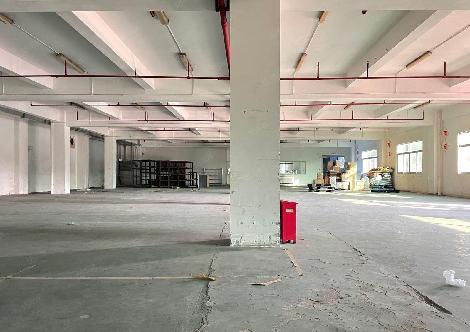 厚街实图独院5000方厂房出租带注塑环评行业不限现成水电