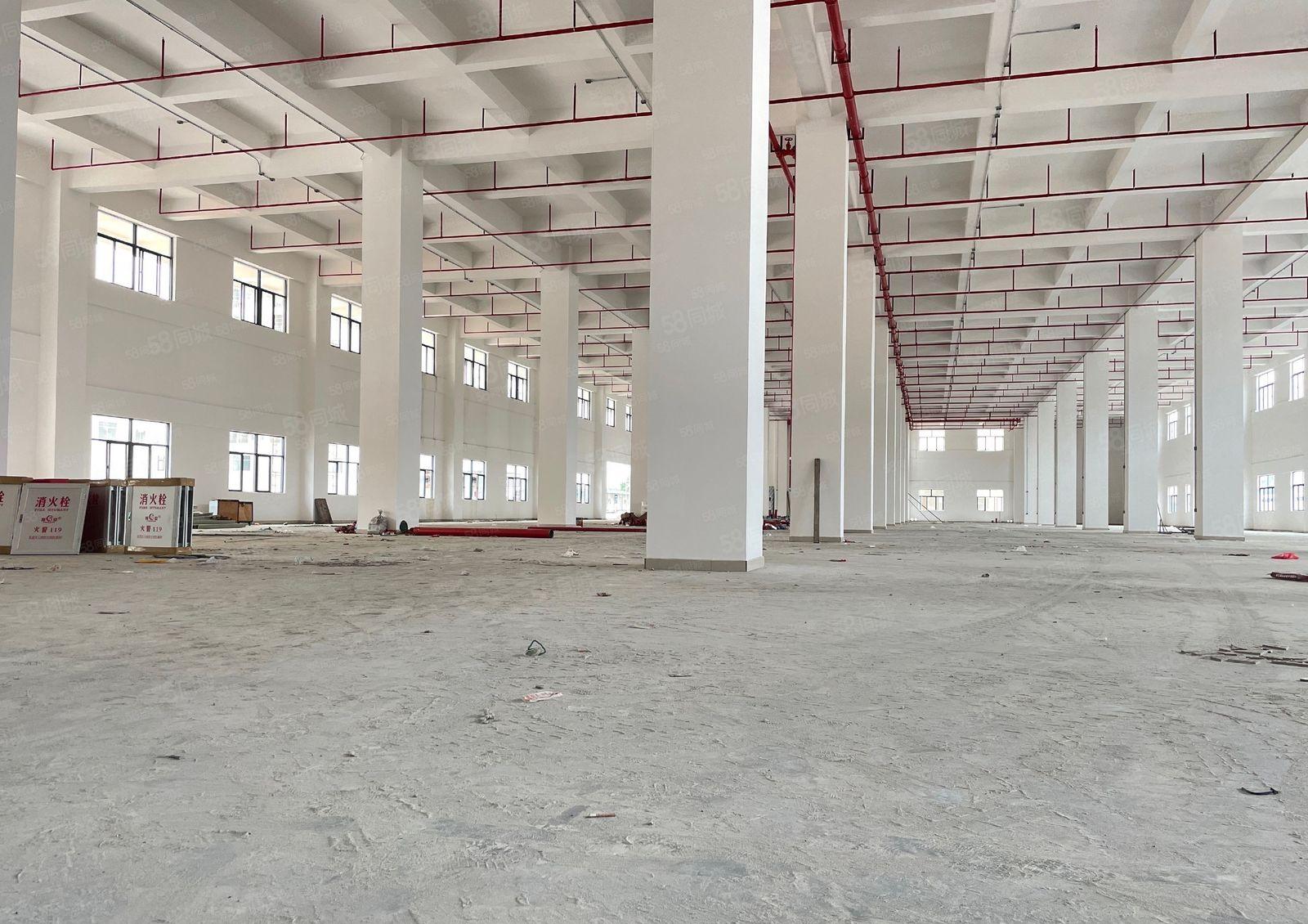 厚街高端产业园全新独院一楼2500平厂房出租全新装修