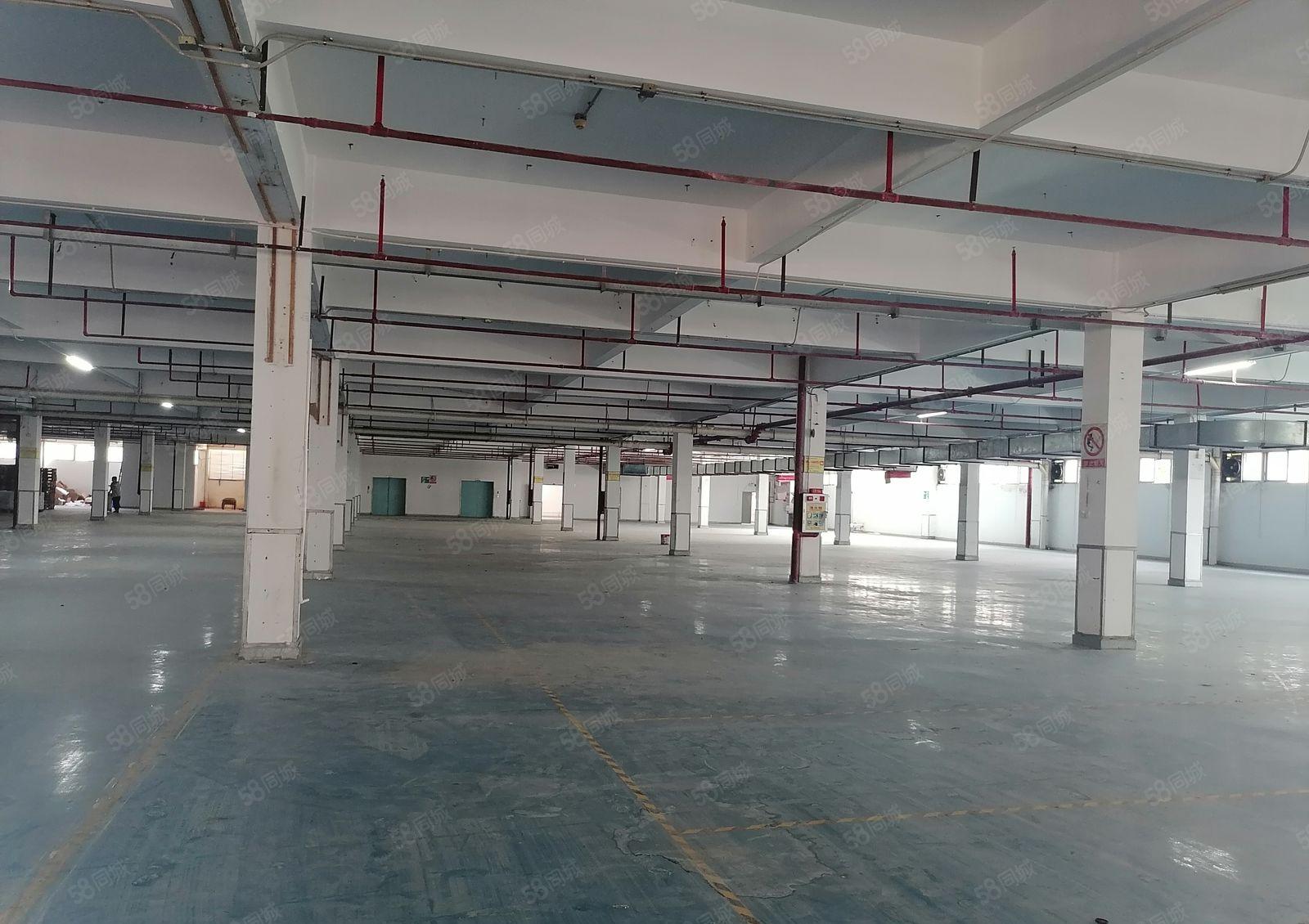 厚街镇新出花园式红本科技园，工业用地可以办环评，形象好空地大