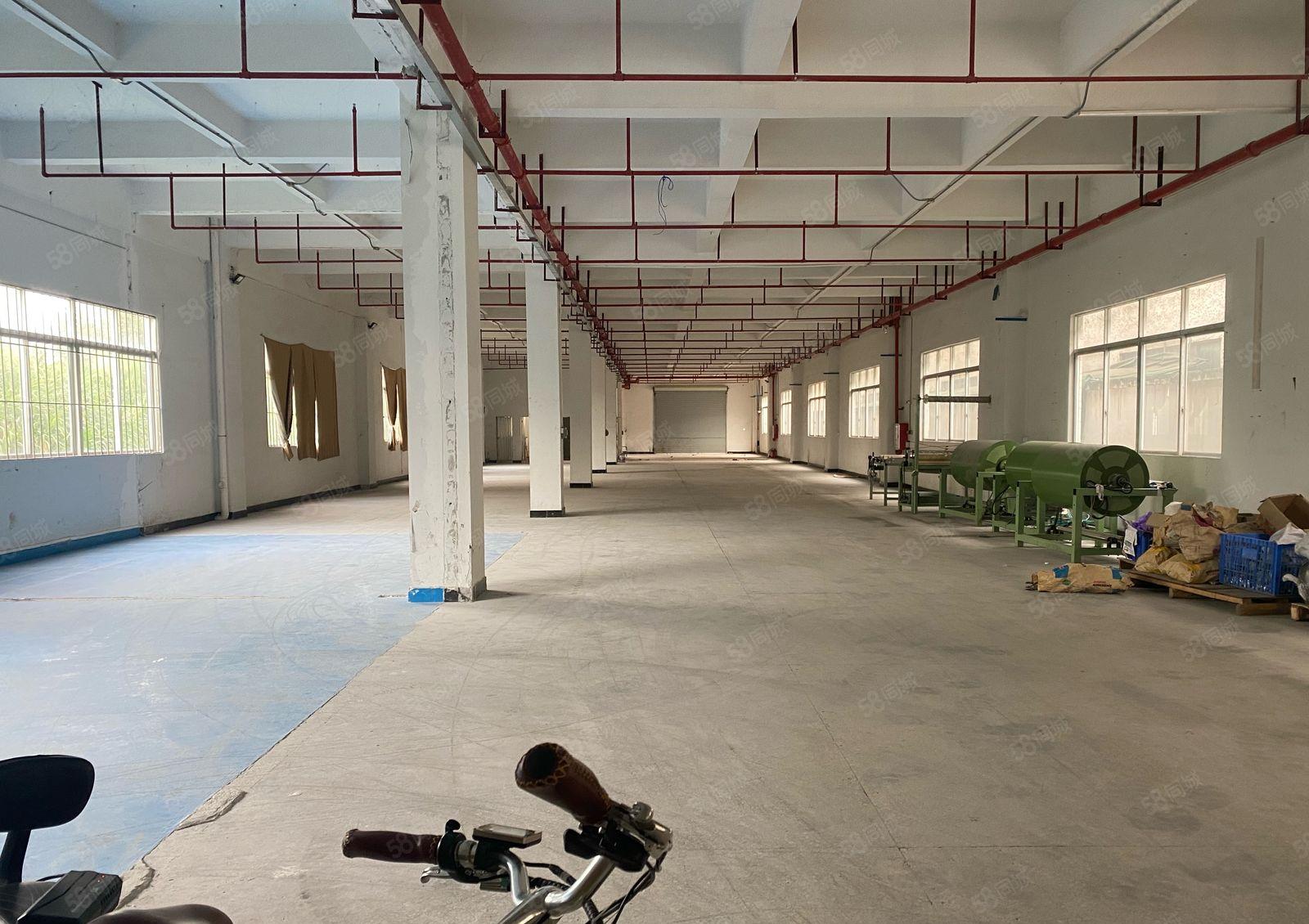 原房东 全新厂房 交通方便 空地大 2吨电梯