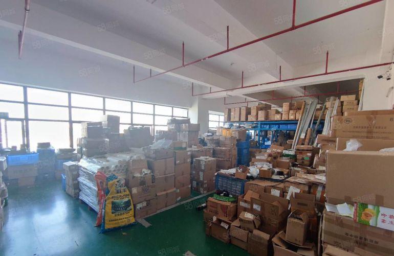 厚街溪头4750平可分精装修低价厂房仓库无尘车间一楼楼上出租