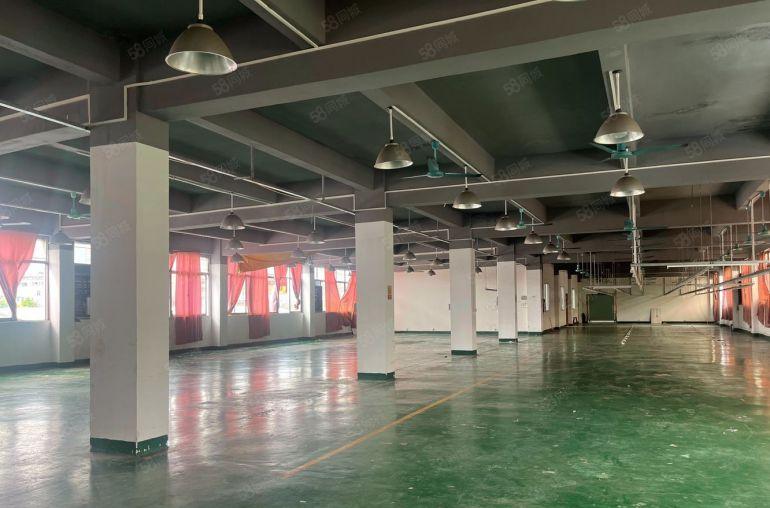 精装修厂房出租1300平方，价格便宜