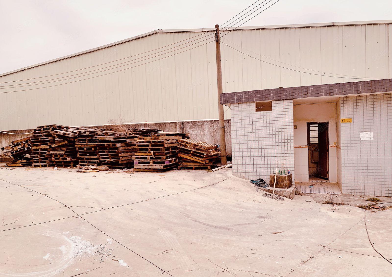 厚街4000方原房东单一层钢结构 滴水9米