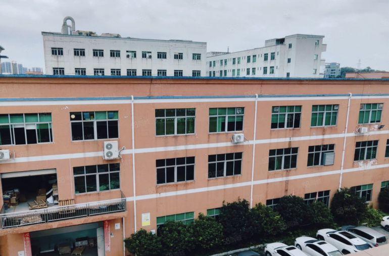 厚街原房东独院厂房6700平9.9元出租，空地大，交通好！