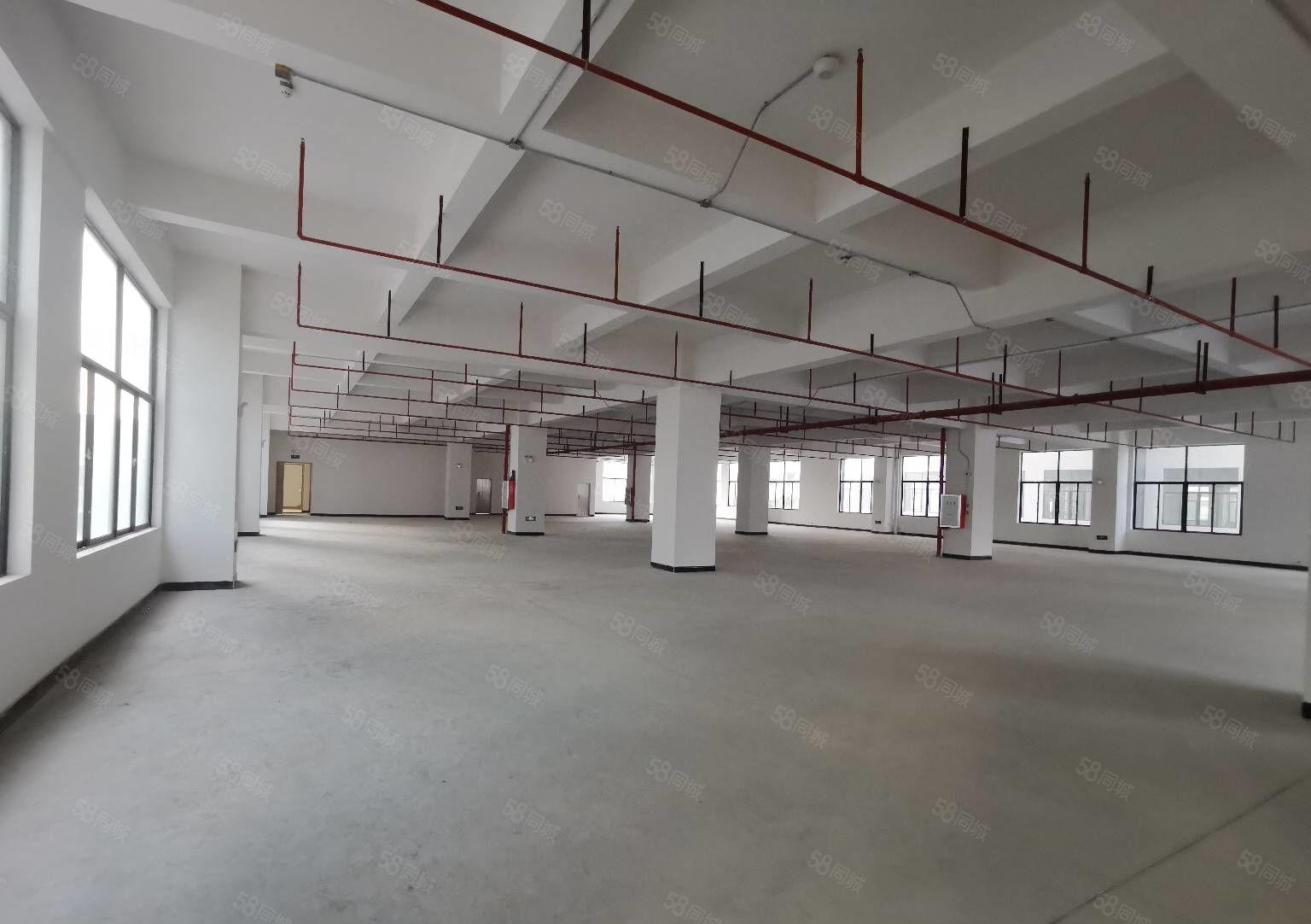 厚街全新独院工业厂房招租，证件齐全可办环评，超大空地