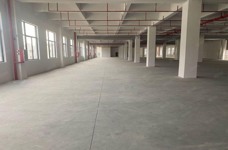 厚街镇3000平高新产业园红本厂房原房东易招工形象好空地大