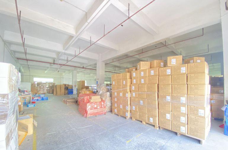 厚街  原房东 独院 红本 适合电子五金注塑模具钣金家具鞋厂