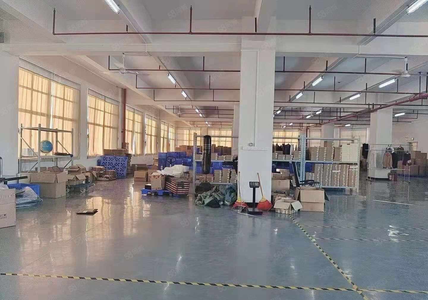 厚街原房东1150平方水电齐全全新地坪漆精装修出租